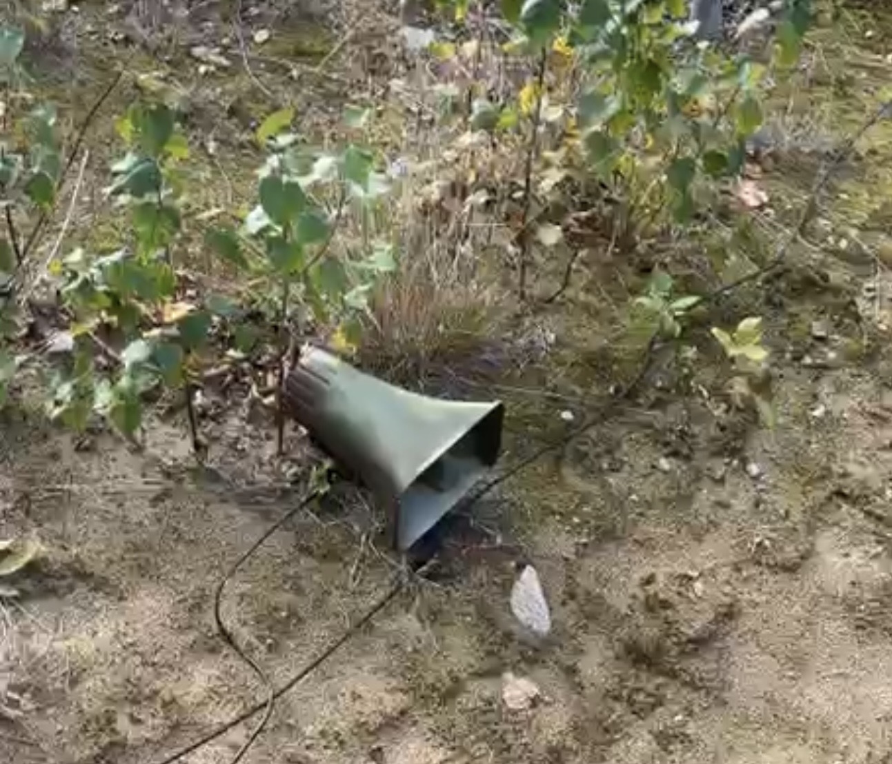 Loudspeaker for response research